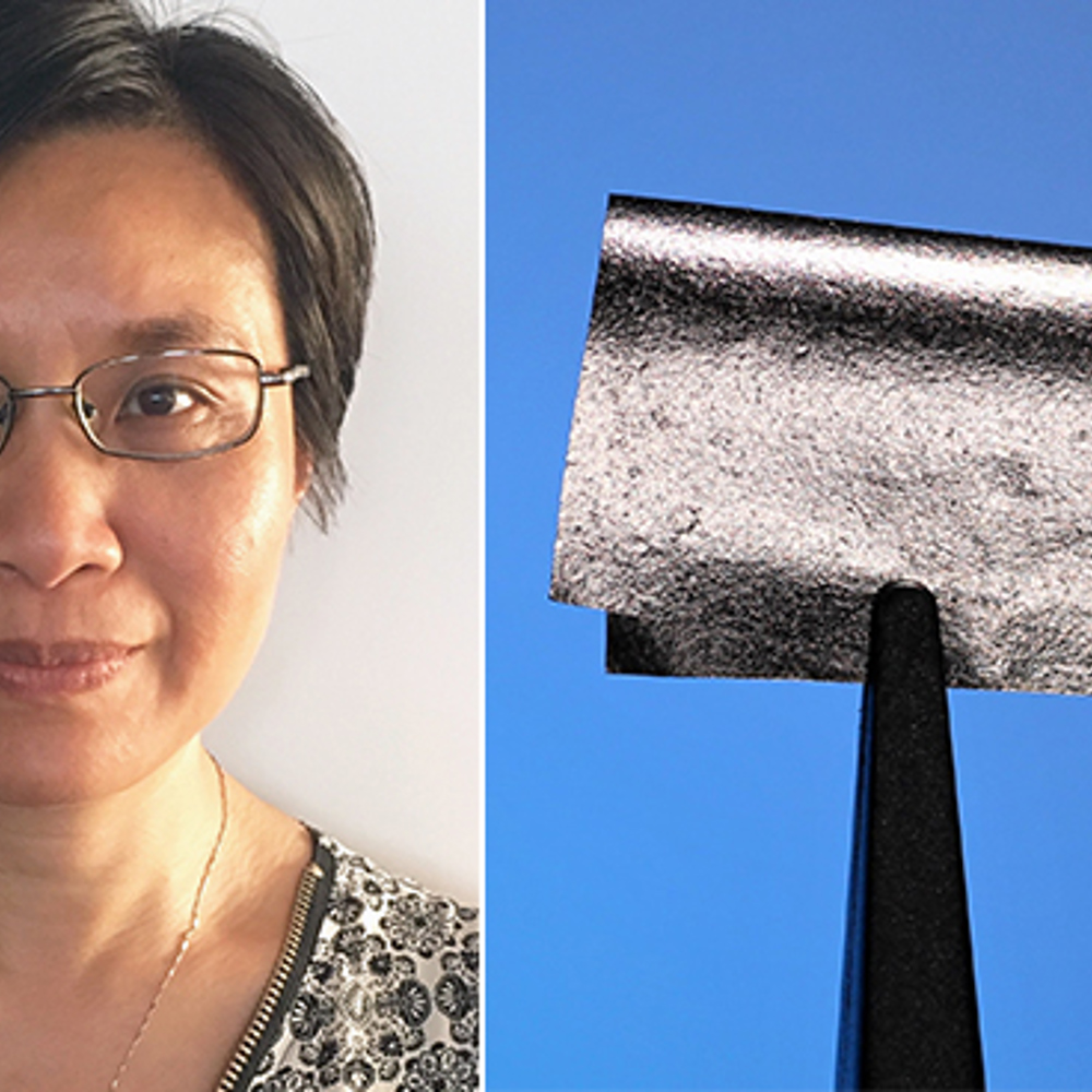 Lilei Ye, vd på SHT Smart High-Tech AB.