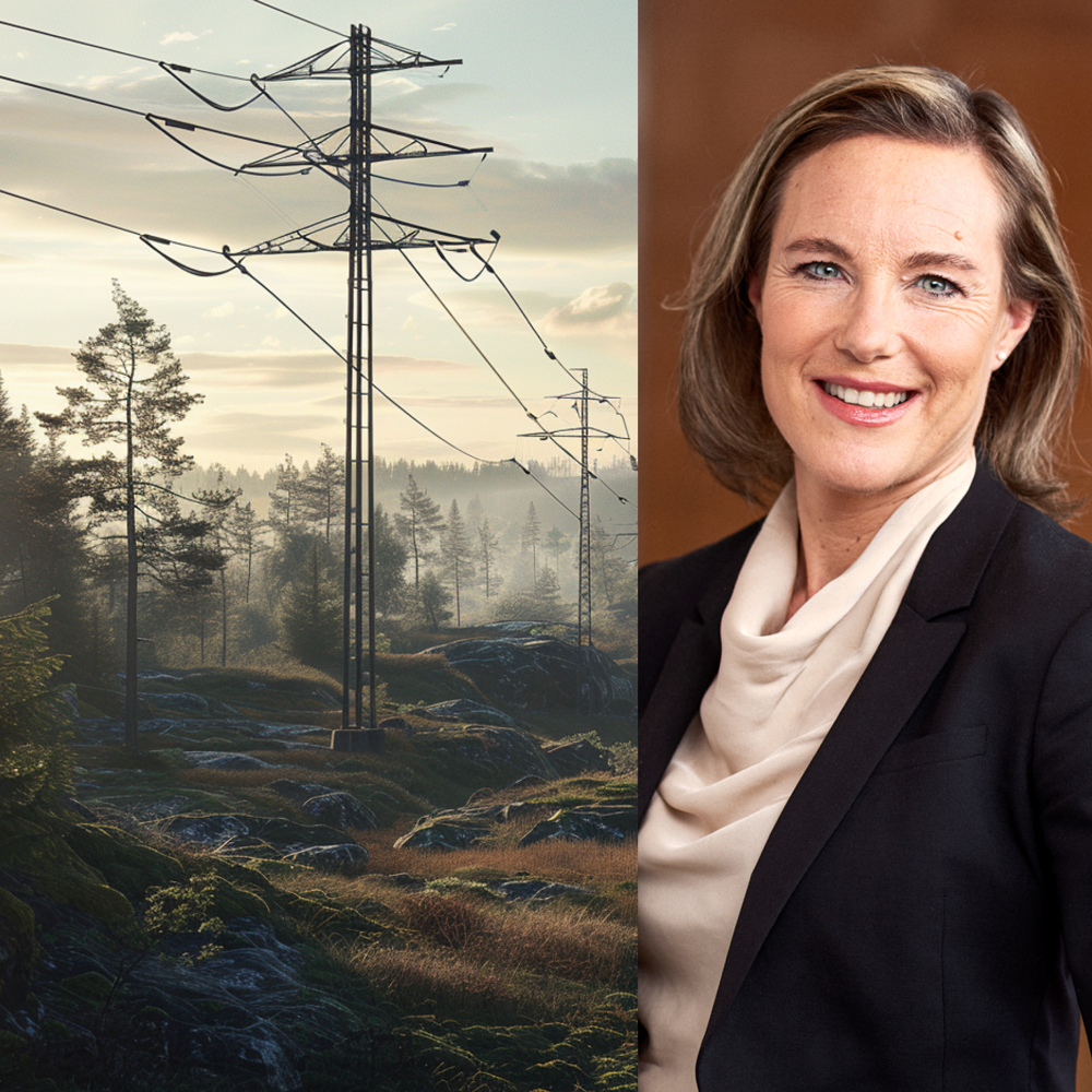 Bild: Collage av AI-renderad bild och Miriam Münnich Vass