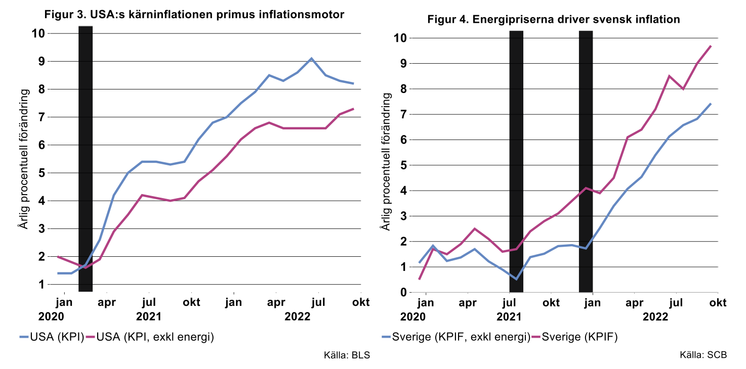 Usas-karninflation-primus-inflationsmotor.png
