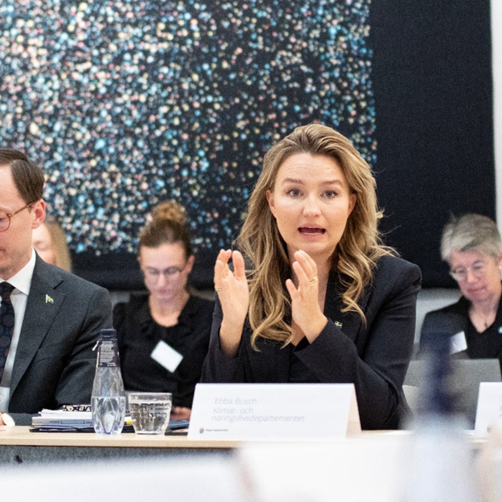 Foto: Elima Mwinyipembe, Regeringskansliet