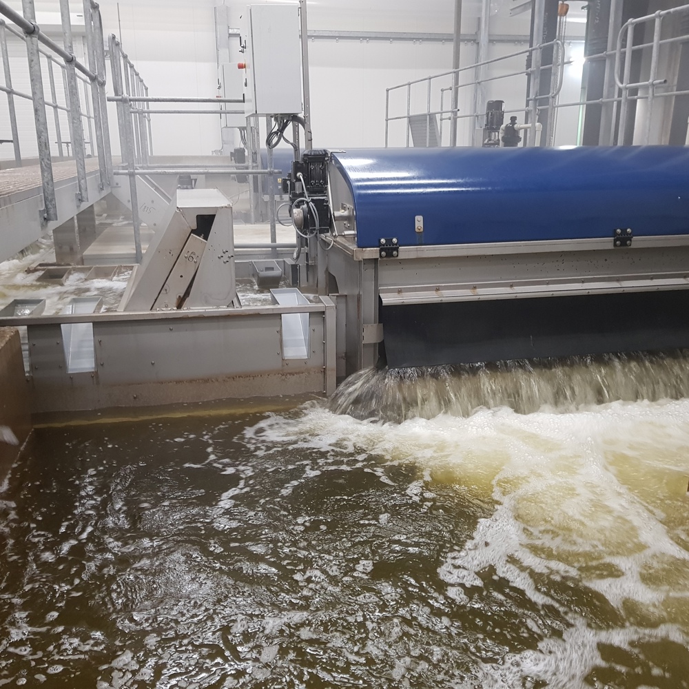NP Innovation tillverkar vattenreningssteg för landbaserad fiskodling.