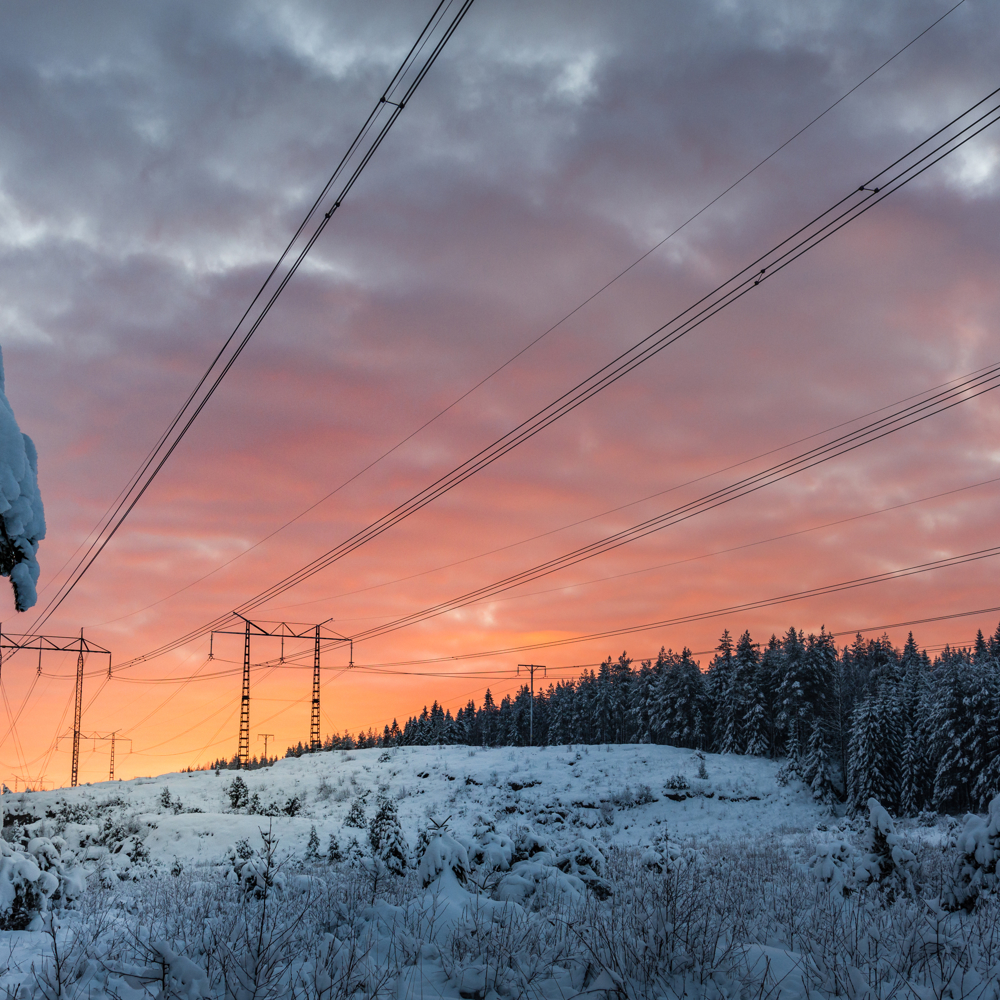 Bild: Shutterstock