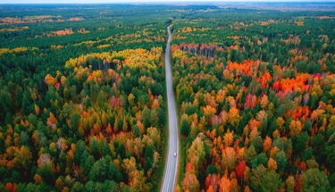 Foto: Shutterstock
